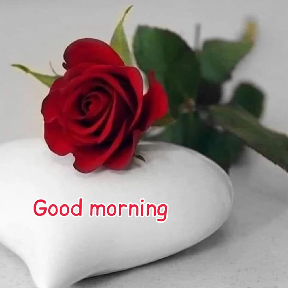 Heart And Rose Flower Good Morning Image For WhatsApps