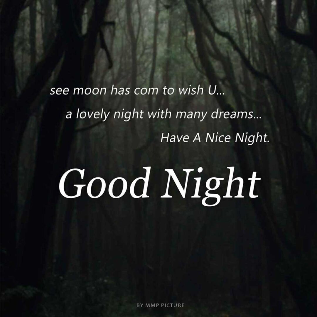 Good Night Nature Pictures with Quotes Moon Has Come