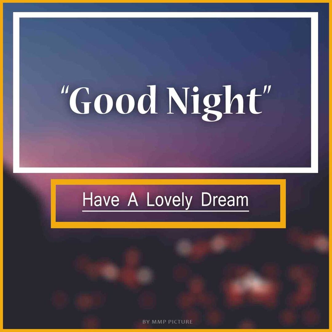 Good Night Have A Lovely Dream Wishing Quote Image